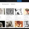 Behance - Violation of artistic freedoms