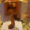 Burger King - chicken fries - Photo 2