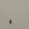 Days Inn - I am complaining about cleanliness and staff - Photo 1