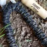 Telebrands - pocket hose - Photo 2