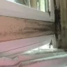 Champion Windows - windows and sliding door - Photo 1