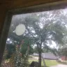Clayton Homes - mold on the inside of my windows