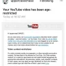 YouTube - age restriction on chase ross