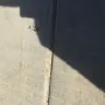 FedEx - serious complaint about damages - Photo 3