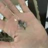 Chipotle Mexican Grill - a screw was inside my burrito - Photo 2