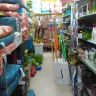 Dollar General - disorderly store - Photo 1