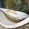 LinerWorld - liner coping - Photo 2