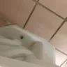 Red Roof Inn - unsanitary room conditions - Photo 1