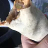 Taco Bell - burrito supreme - Photo 2