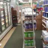 Dollar Tree - product/service/store presentation