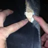 Living Spaces Furniture - defective couch leg - Photo 2