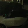 Car2Go - violating community bylaws - Photo 9