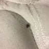 Motel 6 - dirty rooms & bed bugs