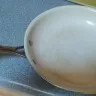 Food Network - 10" ceramic non stick frying pan - Photo 1