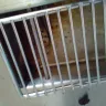 Burger King - employees, food and nasty restaurant - Photo 1
