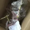 Target - order number [protected] - Photo 4