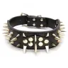 EachBuyer - wrong dog-collar - Photo 1