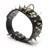 EachBuyer - wrong dog-collar - Photo 2