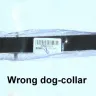 EachBuyer - wrong dog-collar - Photo 3