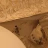 Days Inn - different price per night in less than 2 weeks and mold in rooms - Photo 3