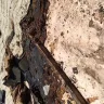State Farm - denied roof claim after sequential hali and wind storms - Photo 9