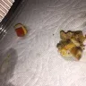 Taco Bell - cheese fiesta potatoes - Photo 3