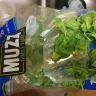 Costco - dead insect found in the bag of fresh spinach leaves (muzzi)