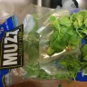 Costco - dead insect found in the bag of fresh spinach leaves (muzzi) - Photo 1
