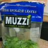 Costco - dead insect found in the bag of fresh spinach leaves (muzzi)