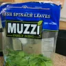 Costco - dead insect found in the bag of fresh spinach leaves (muzzi) - Photo 3
