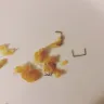 Kraft Heinz - ore-ida tater tot - Photo 1