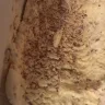 Breyers - Caramilk ice cream - Photo 2