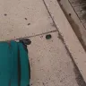 MegaBus - damaged suitcase needs replacing - Photo 2