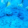LinerWorld - defective product - Photo 1