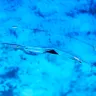 LinerWorld - defective product - Photo 2