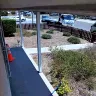 American Automobile Association [AAA] - driver damaged my grass and walkway of my house - Photo 1