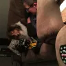 Shelties Purebred Perfect - sheltie