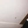 Motel 6 - room is infested with roaches.