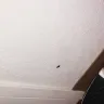 Motel 6 - room is infested with roaches. - Photo 5