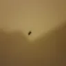 Best Western International - filthy room and roaches - Photo 1