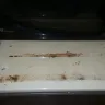 Best Western International - filthy room and roaches - Photo 3