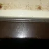 Best Western International - filthy room and roaches - Photo 4