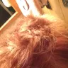 MasterCuts - cut, color and unprofessional - Photo 2