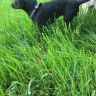 RHP Properties - lawn service - Photo 2