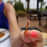 RIU Hotels & Resorts - riu tikida palace - morocco - Photo 2