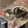 Burger King - entire order