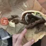Burger King - entire order - Photo 3
