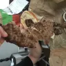 Burger King - entire order - Photo 4