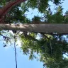 Georgia Power - a power pole in our backyard - Photo 3