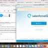 SalesForce - salesforce iq errors, paid license not registering, api app store dysfunctional
